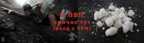 гидра Няндома