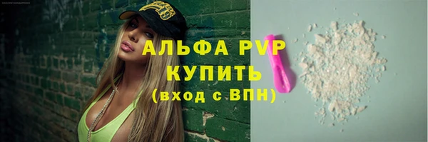 гидра Няндома