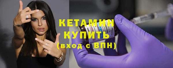 гидра Няндома