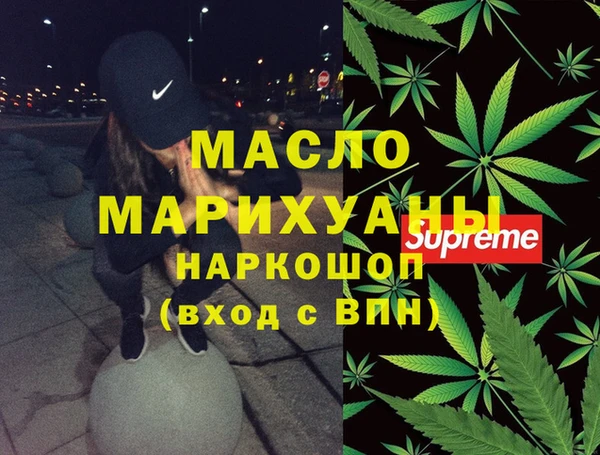 гидра Няндома