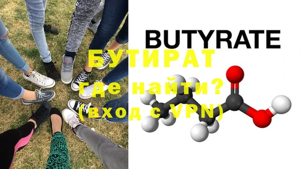 гидра Няндома