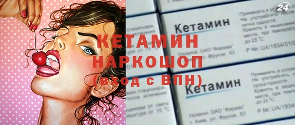 гидра Няндома