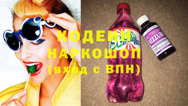 гидра Няндома
