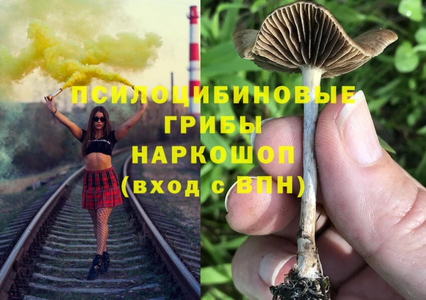 гидра Няндома